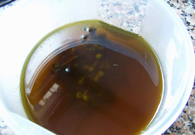 二牛花椒油加盟