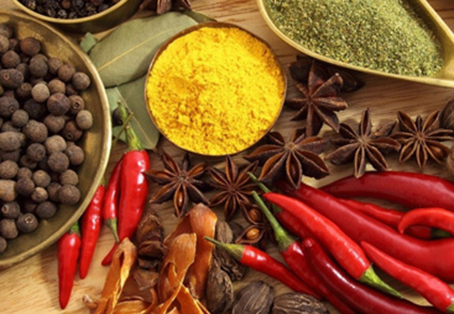 松牌调味品加盟费