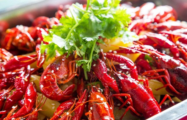 风云龙虾加盟费