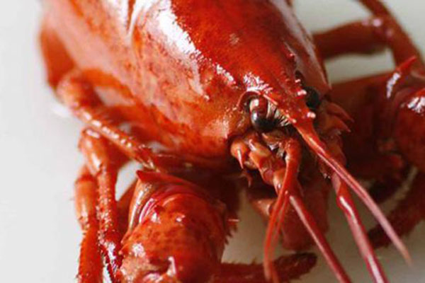 韩氏小龙虾加盟费