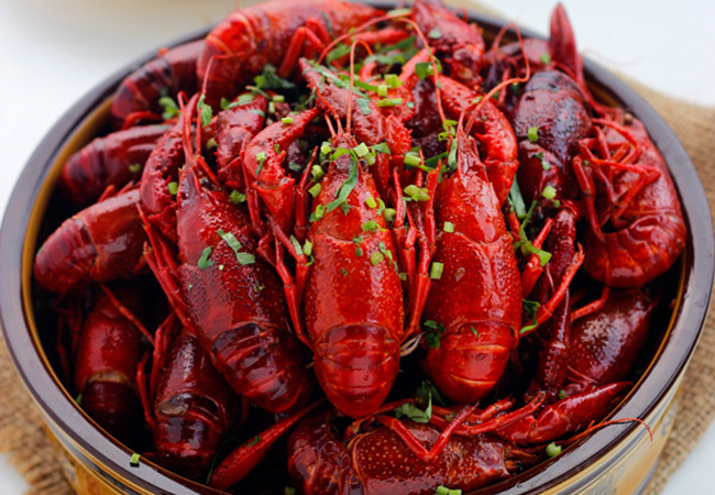 夜猫子龙虾加盟费