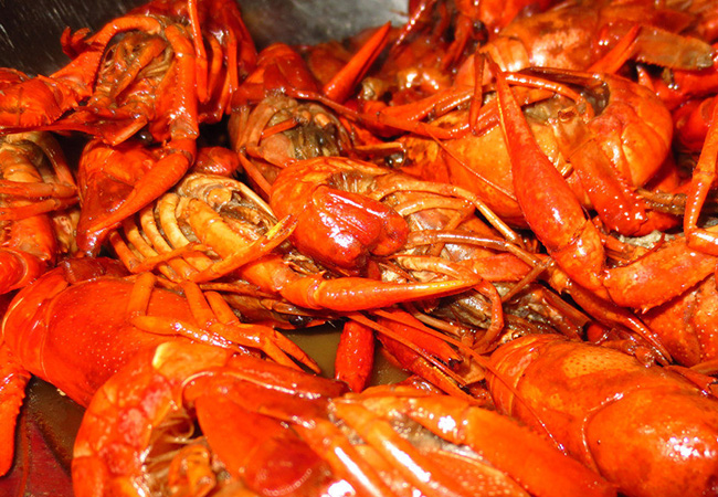 张鸿运小龙虾加盟费