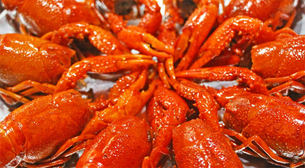 双喜小龙虾加盟