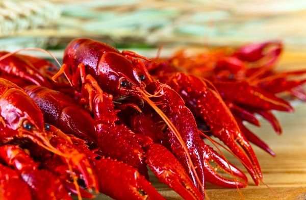 阳光院坝小龙虾加盟费