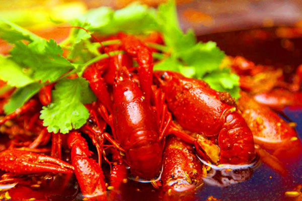 辣8小龙虾加盟费