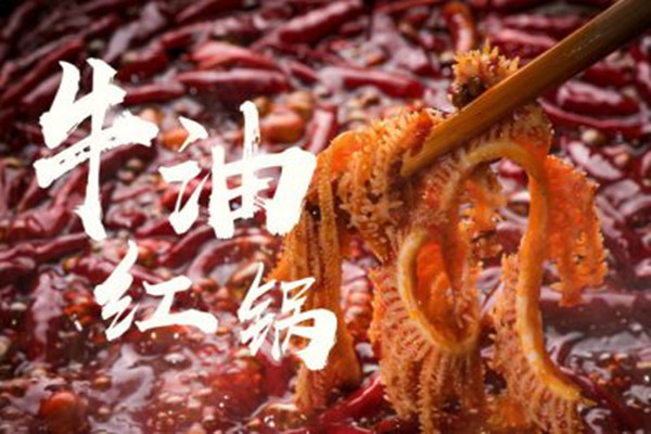 刁俏火锅加盟费