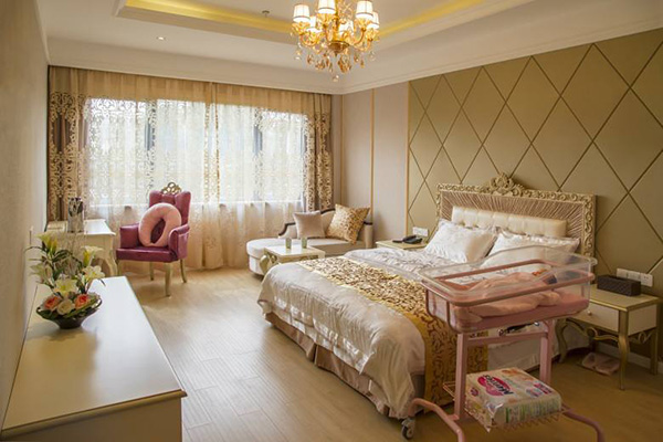 爱弥儿月子会所加盟店