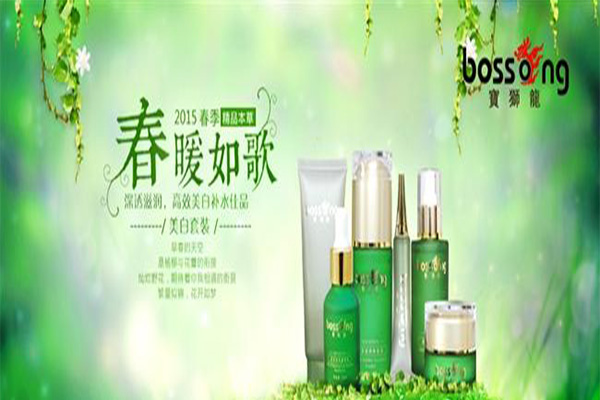 宝狮龙加盟门店