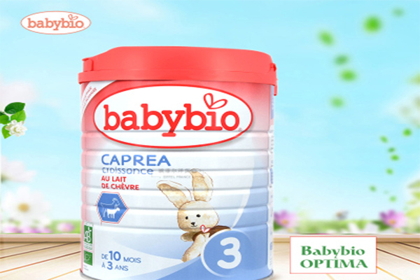 伴宝乐奶粉加盟费