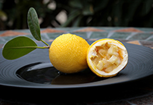 东华教育加盟费