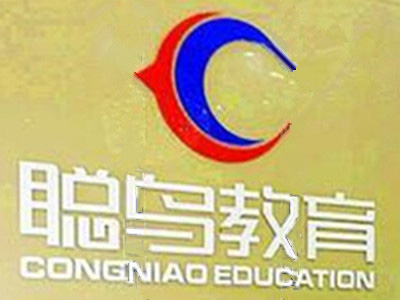 聪鸟教育加盟费