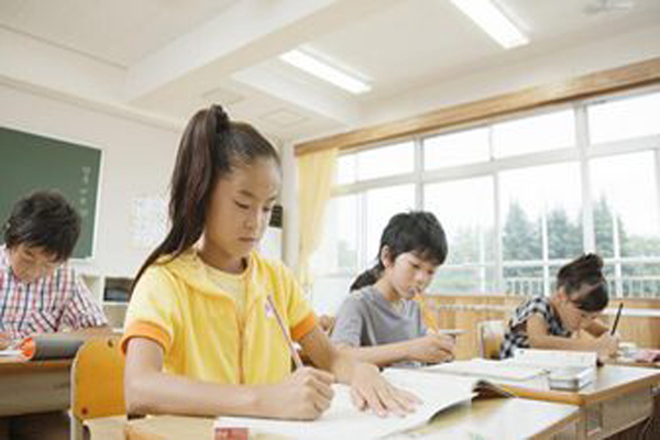 成才教育加盟费