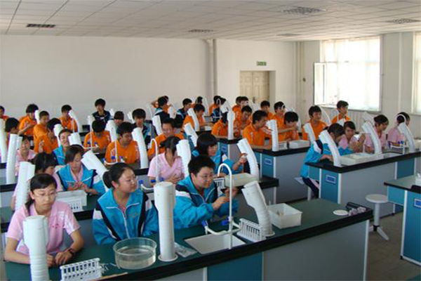 德才教育加盟费