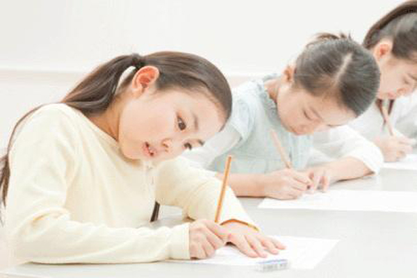 晨曦教育加盟店