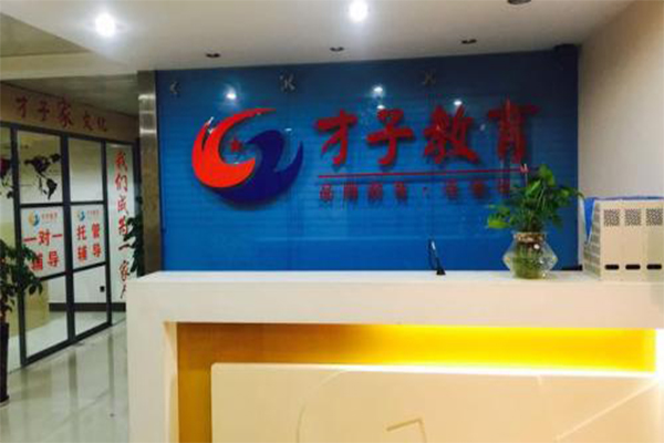 才子教育加盟费