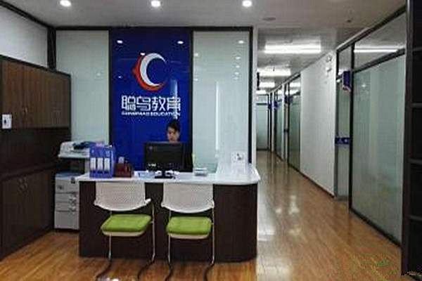 聪鸟教育加盟费