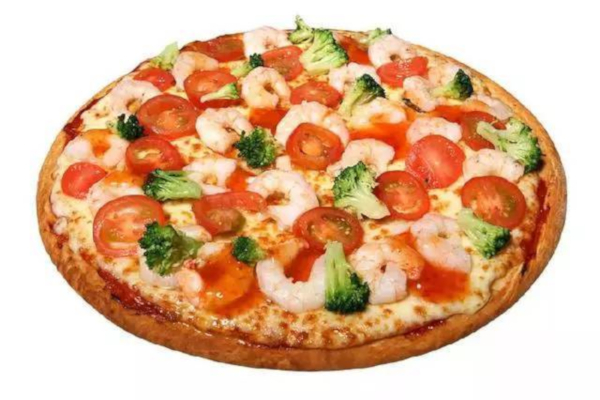 尊玉比萨加盟费