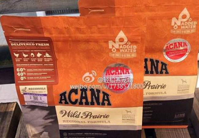 爱肯拿宠物店加盟