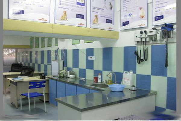 深爱宠物医院加盟费