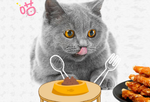 撕家宠物俱乐部