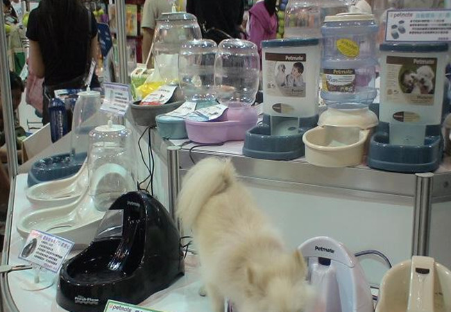 购想宠物用品加盟费