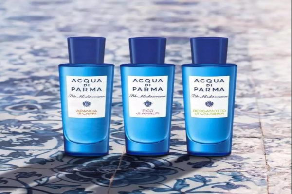 帕尔玛之水加盟费