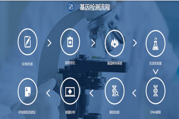 美因基因加盟费
