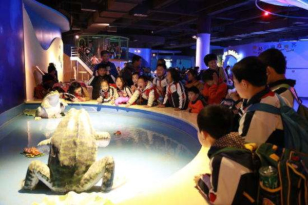 世纪教育加盟费