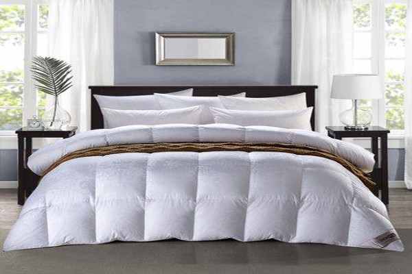 雁皇家纺加盟费