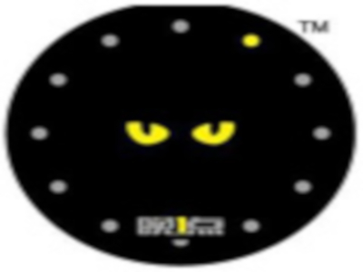 晚1点海鲜外卖加盟费