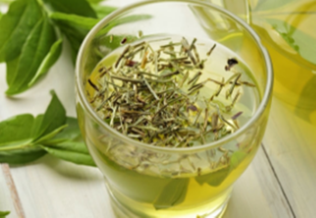 乌牛早茶加盟费