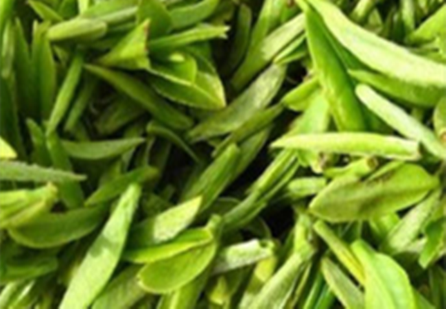 乌牛早茶加盟门店