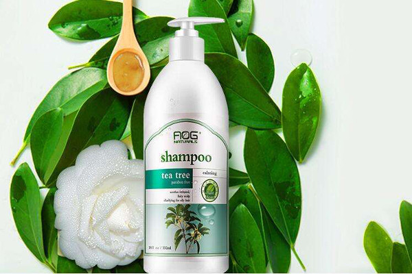 天然之扉加盟费