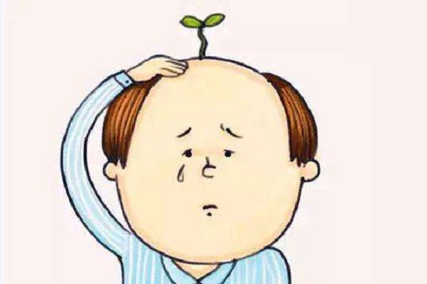 熙朵植发加盟费