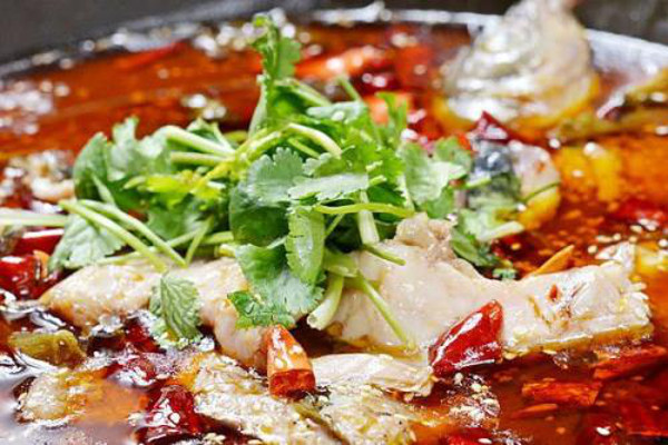 千福鱼鱼火锅加盟费