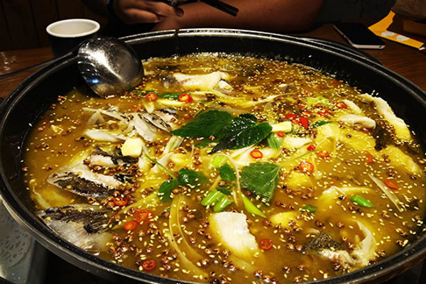 郑记天府鱼火锅加盟费