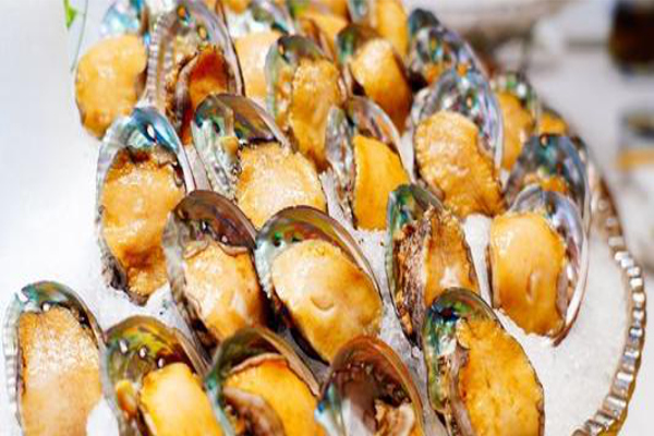 银滩鲍鱼火锅加盟费