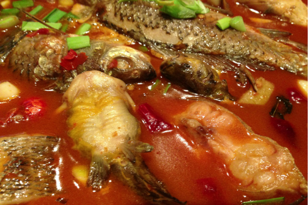 荷香婆婆鱼锅加盟费