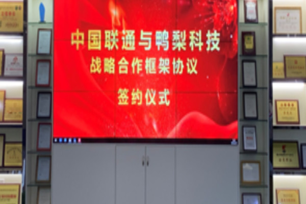 鸭梨小程序加盟费