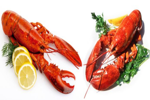 一品龙虾王加盟费