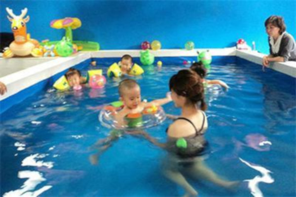 海豚贝贝婴儿游泳馆加盟费