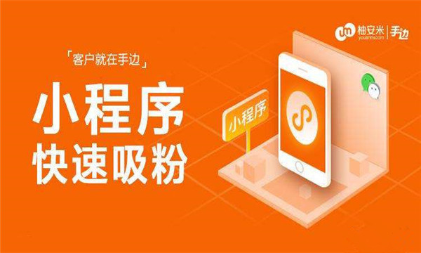 柚安米小程序加盟费