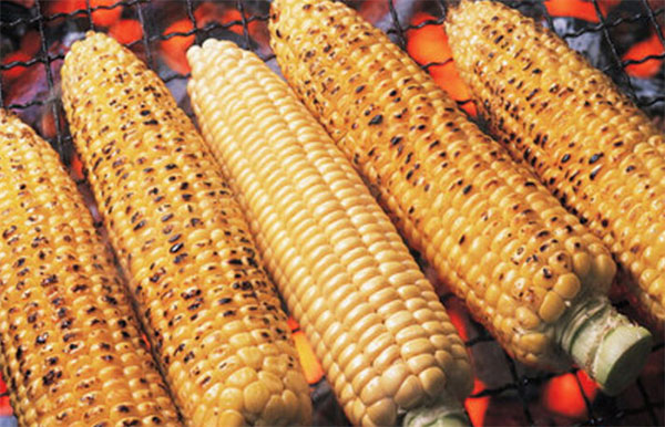 桃源深处乡村烧烤加盟店