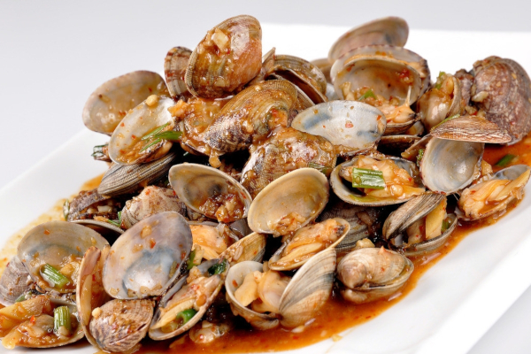 海盗花甲加盟费