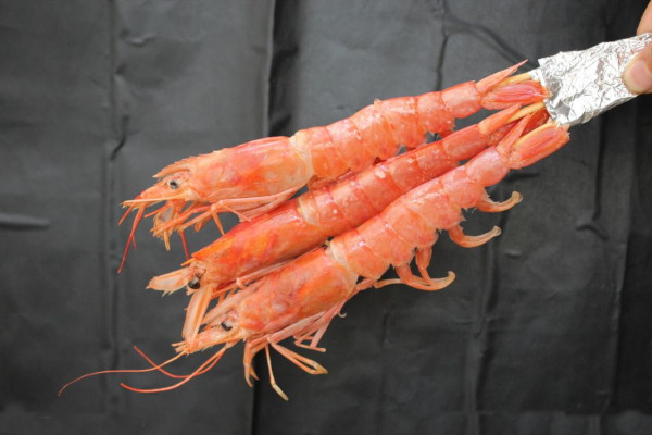 康姐烧烤加盟费