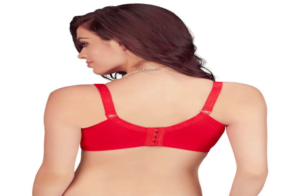 艾丽斯内衣加盟费