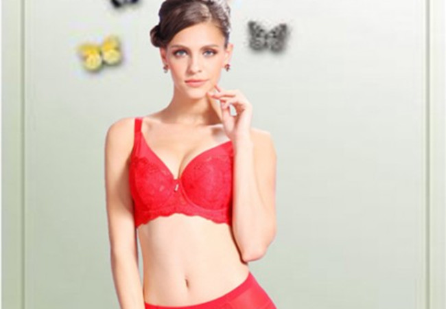 丹荷莉雅内衣加盟费