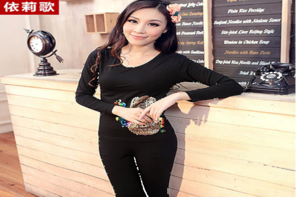 依莉歌内衣加盟店