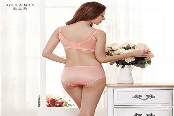 歌兰莉内衣加盟费