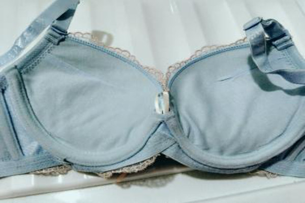 嘉诗芳内衣加盟费